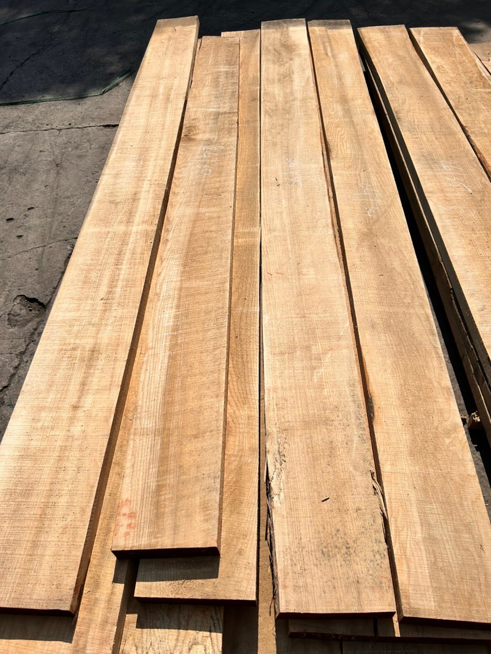 White Oak 10