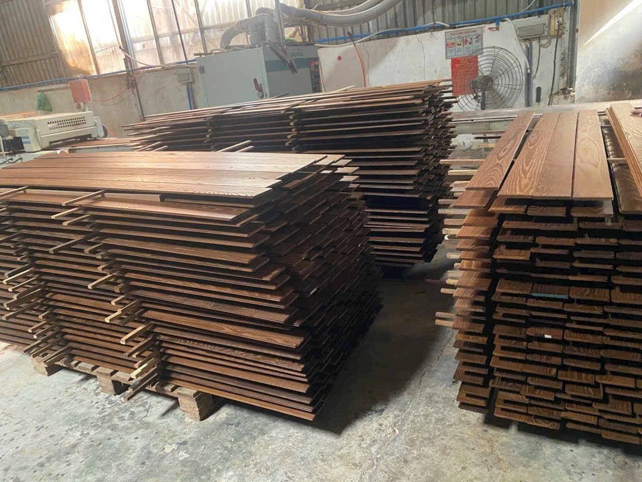 Gỗ Tần Bì Biến Tính (Ash) 8