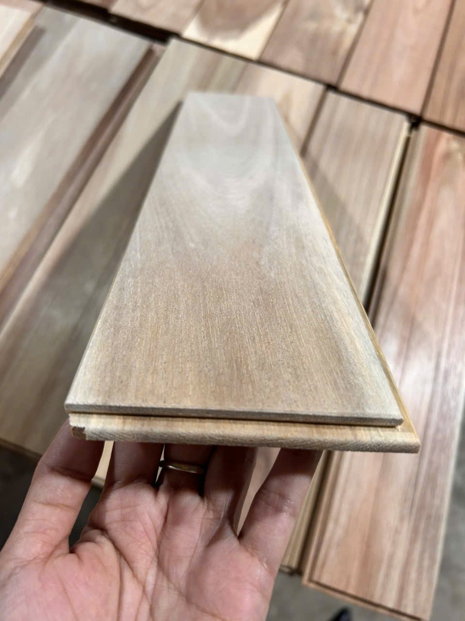 Gỗ Tràm 9