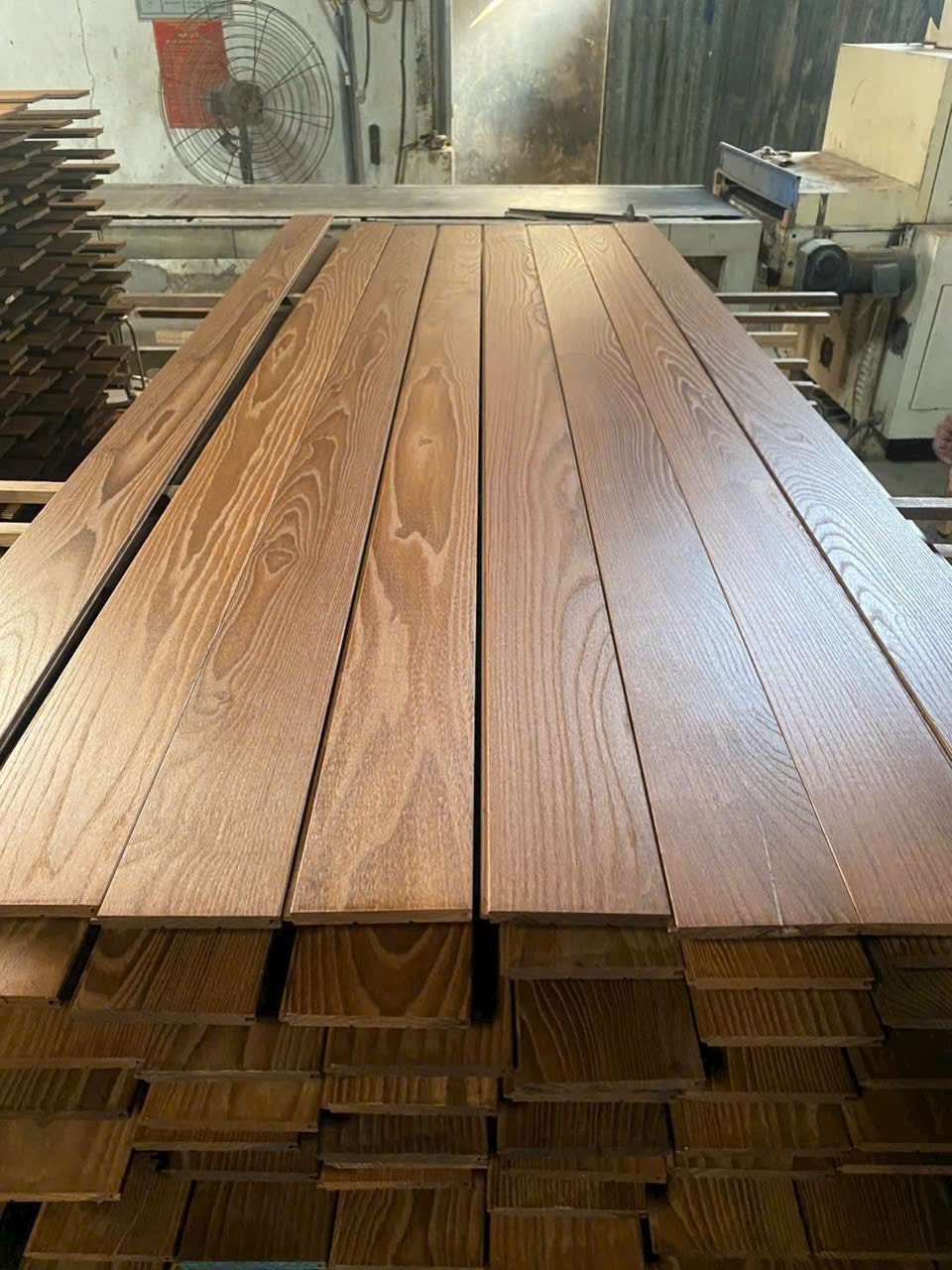 Gỗ Tần Bì Biến Tính (Ash) 7