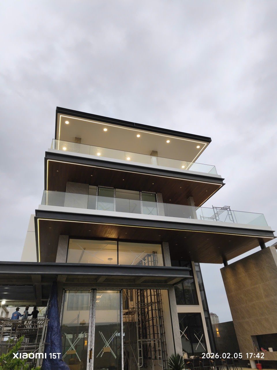 Gỗ Tần Bì Biến Tính (Ash)